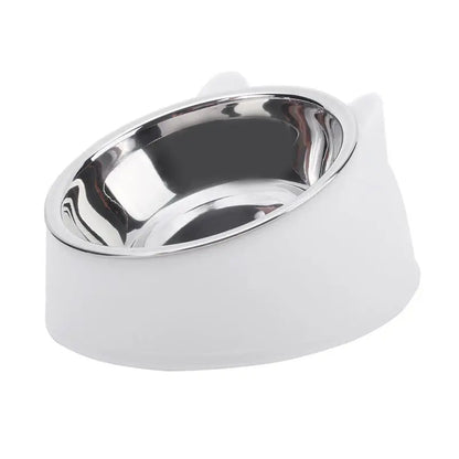 Stainless Steel Inclined Cat Feeding Bowls - Set of 1/2/5 for Kittens and Puppies